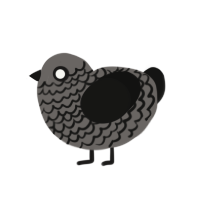 Little Darkness, a grey and black chicken with a lace pattern