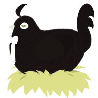 Moira, a black chicken with a lace pattern