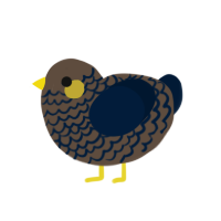 (unnamed), a bark and tumblr chicken with a lace pattern