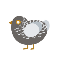 Precious Metal, a grey and mist chicken with a half-lace pattern