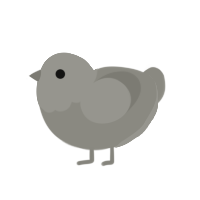 (unnamed), a ash chicken with a head pattern