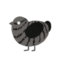 (unnamed), a grey and black chicken with a bar pattern