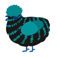 Lilja, a sable and teal chicken with a bar pattern