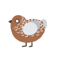 (unnamed), a brown and mist chicken with a half-lace pattern