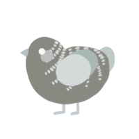 Kevin, a ash and silver chicken with a half-bar pattern