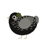 Flopsy, a sable and ash chicken with a half-lace pattern