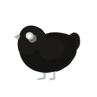 Spooky, a black and sable chicken with a head pattern