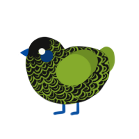 Kaido, a black and chartreuse chicken with a double-lace pattern