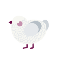 Salt, a white and mist chicken with a lace pattern