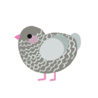 Silver, a ash and silver chicken with a lace pattern