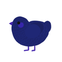 Cobalt, a navy chicken with a lace pattern
