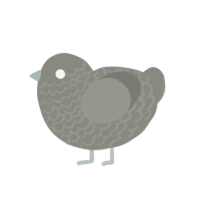 Greyscale, a ash chicken with a lace pattern