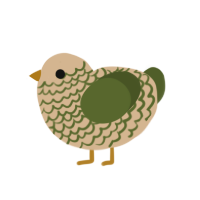Chia, a beige and olive chicken with a lace pattern
