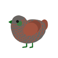 Kerfluffle, a grey and russet chicken with a lace pattern