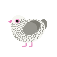 (unnamed), a white and ash chicken with a lace pattern