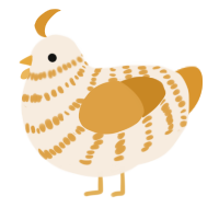 Caramel cream, a cream and orange chicken with a bar pattern