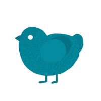 (unnamed), a sea chicken with a double-lace pattern