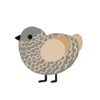 (unnamed), a ash and beige chicken with a lace pattern