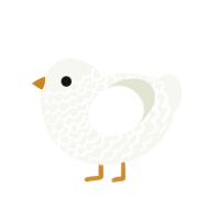 Duck Duck, a white chicken with a lace pattern