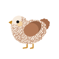 Vanilla, a cream and brown chicken with a double-lace pattern