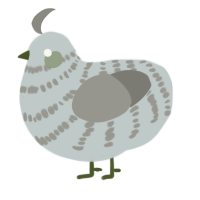 (unnamed), a silver and ash chicken with a bar pattern