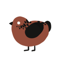 Leal, a russet and black chicken with a neck-speckle pattern