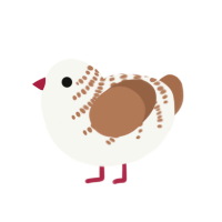 (unnamed), a white and brown chicken with a half-bar pattern