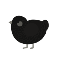 (unnamed), a black and sable chicken with a lace pattern