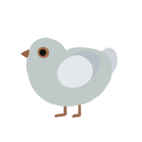 Euphobia, a silver and mist chicken