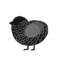 (unnamed), a black and grey chicken with a lace pattern