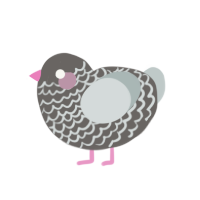 (unnamed), a grey and silver chicken with a lace pattern