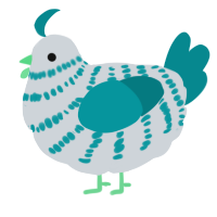 (unnamed), a mist and teal chicken with a bar pattern