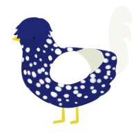 Dragonfly, a navy and white chicken with a speckle pattern