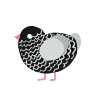 (unnamed), a sable and silver chicken with a lace pattern