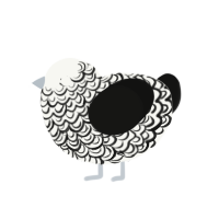 diana, a white and black chicken with a double-lace pattern