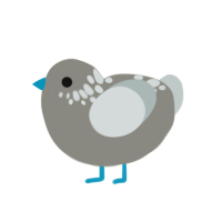 ebelr, a ash and silver chicken with a neck-speckle pattern