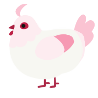 Cherry bloom, a white and rose chicken with a head pattern