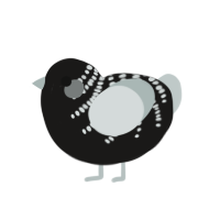 Fourteen Year Old, a sable and silver chicken with a half-bar pattern