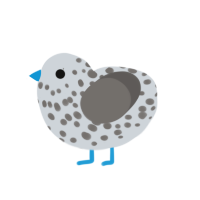 bleu, a mist and grey chicken with a speckle pattern