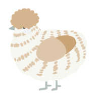 A white and beige chicken with a bar pattern