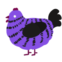 Goth, a blurple and sable chicken with a bar pattern