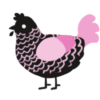 Billard, a sable and pink chicken with a lace pattern