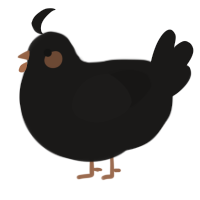 (unnamed), a sable chicken