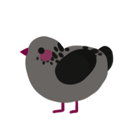 (unnamed), a grey and black chicken with a neck-speckle pattern