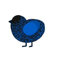 (unnamed), a black and ultramarine chicken with a double-lace pattern