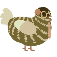Chickpea, a pink and brown chicken with a bar pattern