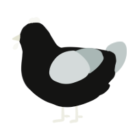 (unnamed), a black and silver chicken