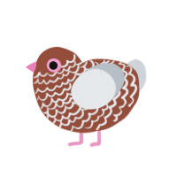 (unnamed), a russet and mist chicken with a lace pattern