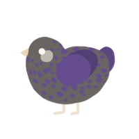 Beaker, a grey and overcast chicken with a speckle pattern