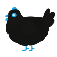 Voyd, a black chicken with a head pattern
